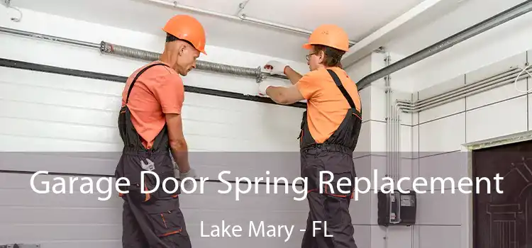 Garage Door Spring Replacement Lake Mary - FL