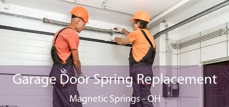 Garage Door Spring Replacement Magnetic Springs - OH