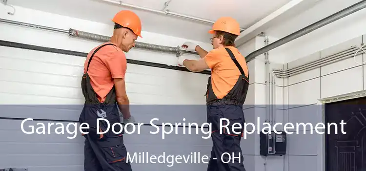 Garage Door Spring Replacement Milledgeville - OH