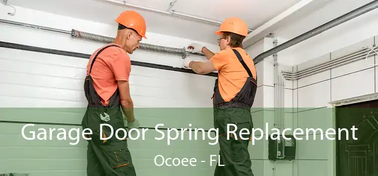 Garage Door Spring Replacement Ocoee - FL