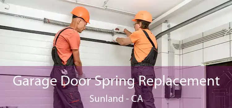 Garage Door Spring Replacement Sunland - CA