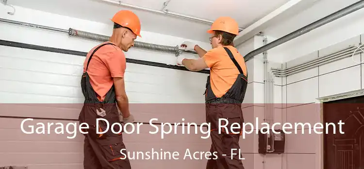 Garage Door Spring Replacement Sunshine Acres - FL