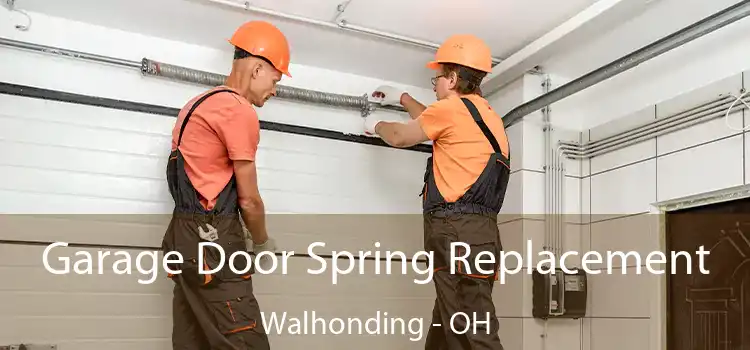 Garage Door Spring Replacement Walhonding - OH