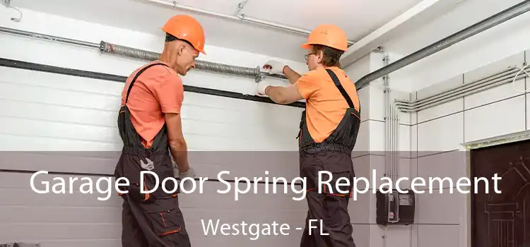 Garage Door Spring Replacement Westgate - FL