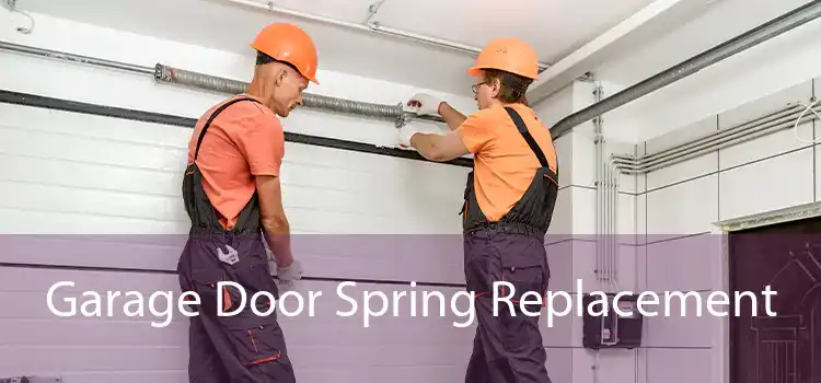  Garage Door Spring Replacement 