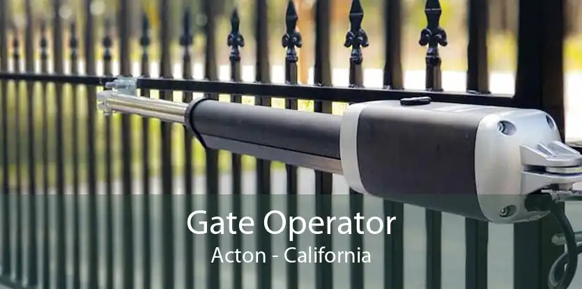 Gate Operator Acton - California