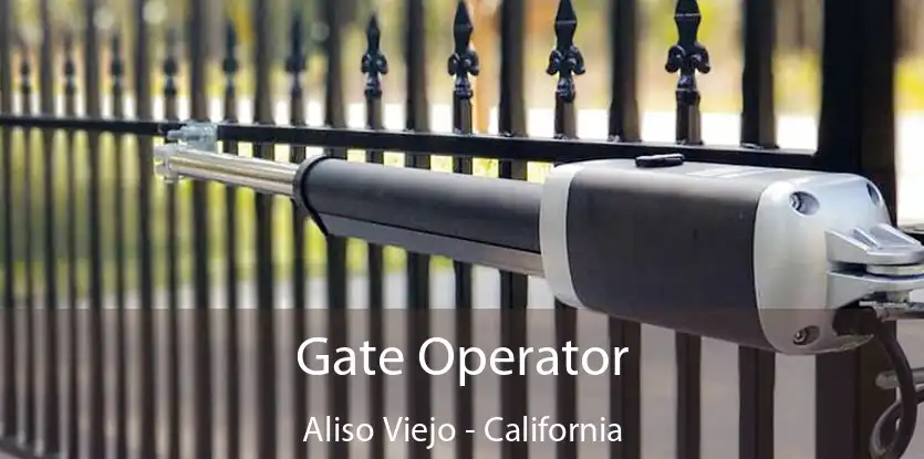 Gate Operator Aliso Viejo - California