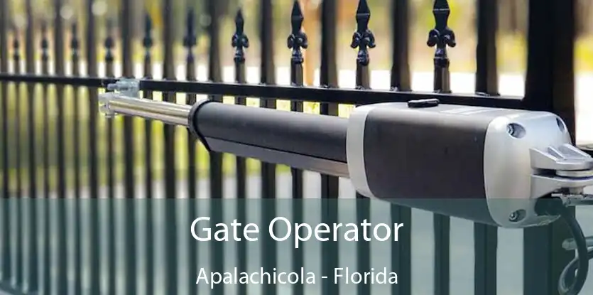 Gate Operator Apalachicola - Florida