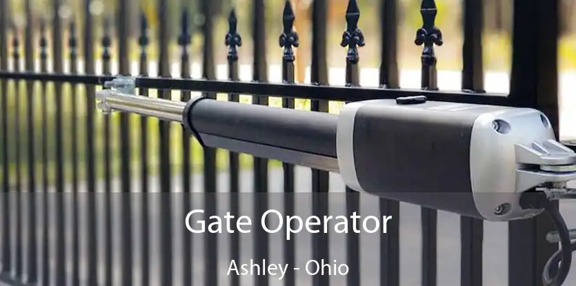 Gate Operator Ashley - Ohio