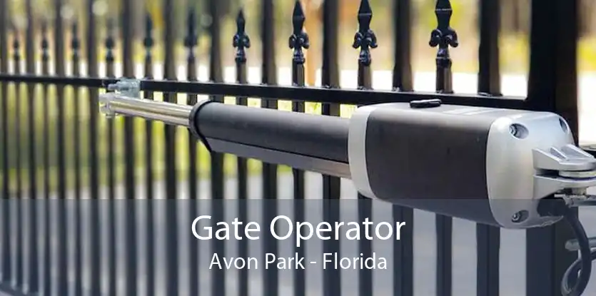 Gate Operator Avon Park - Florida