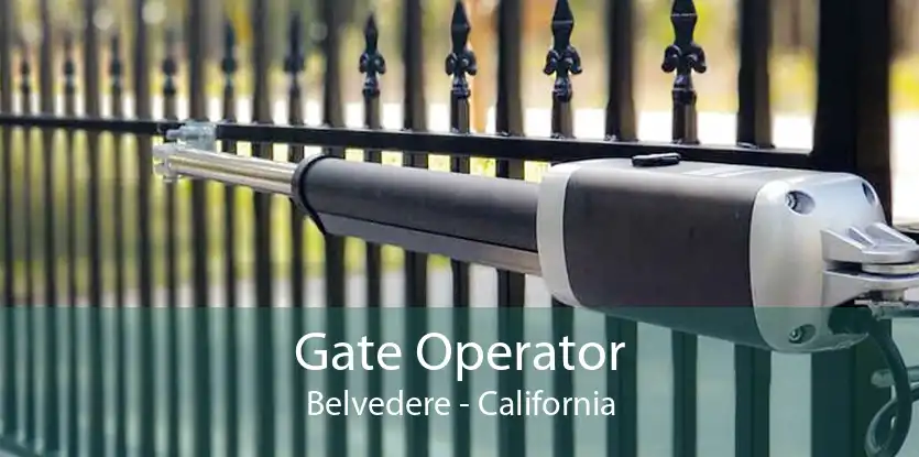 Gate Operator Belvedere - California