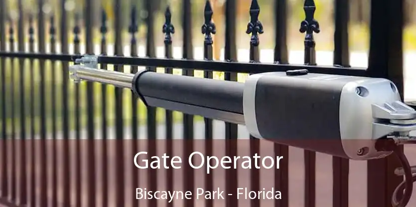 Gate Operator Biscayne Park - Florida