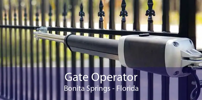 Gate Operator Bonita Springs - Florida