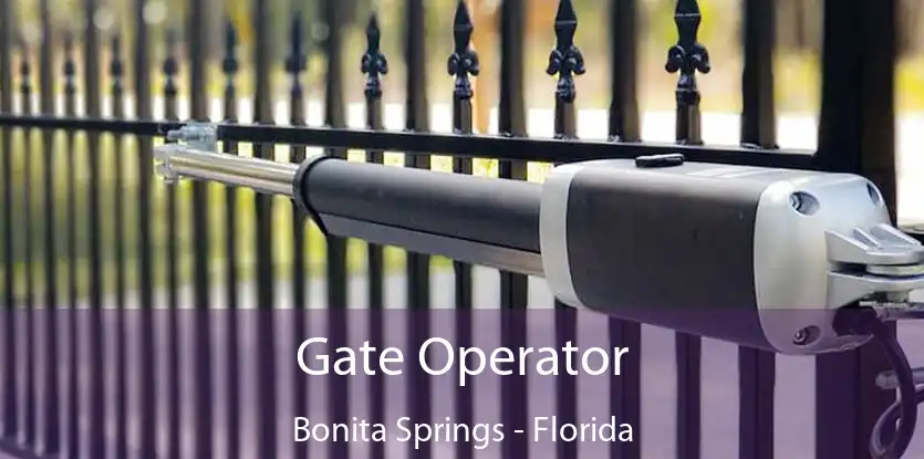 Gate Operator Bonita Springs - Florida