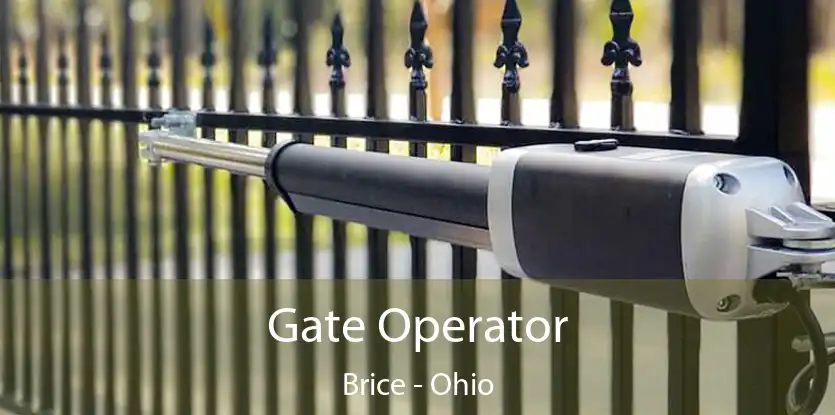 Gate Operator Brice - Ohio