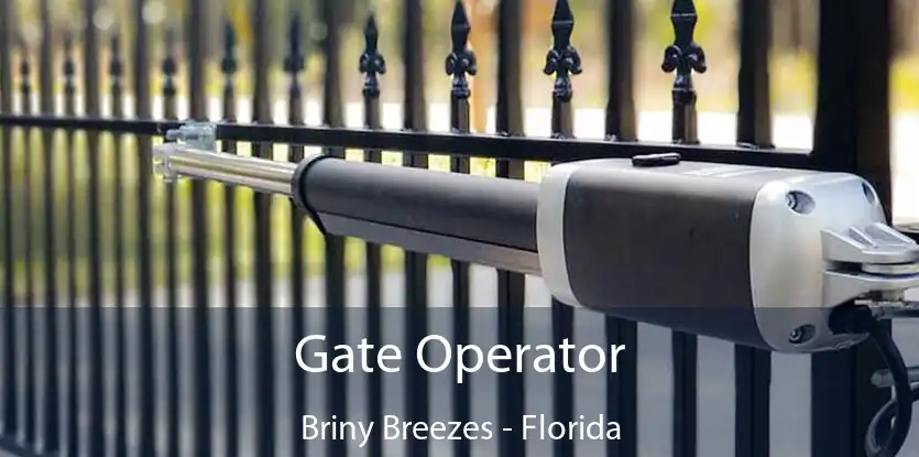 Gate Operator Briny Breezes - Florida