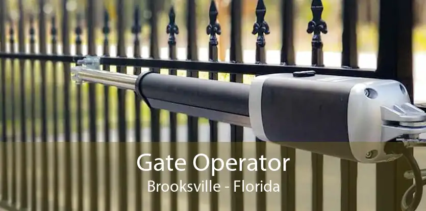 Gate Operator Brooksville - Florida