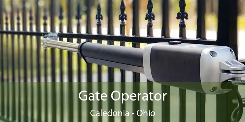 Gate Operator Caledonia - Ohio