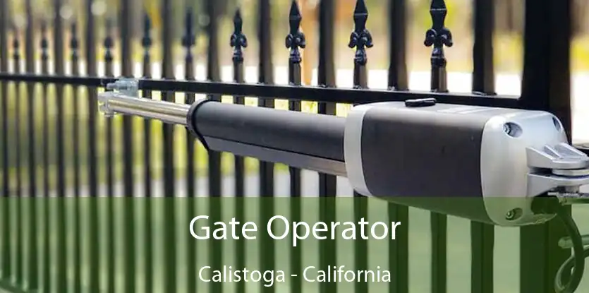 Gate Operator Calistoga - California