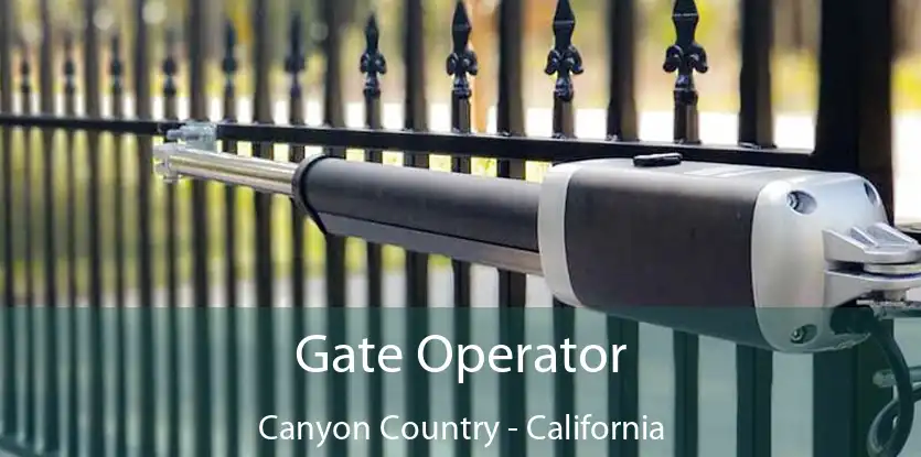 Gate Operator Canyon Country - California