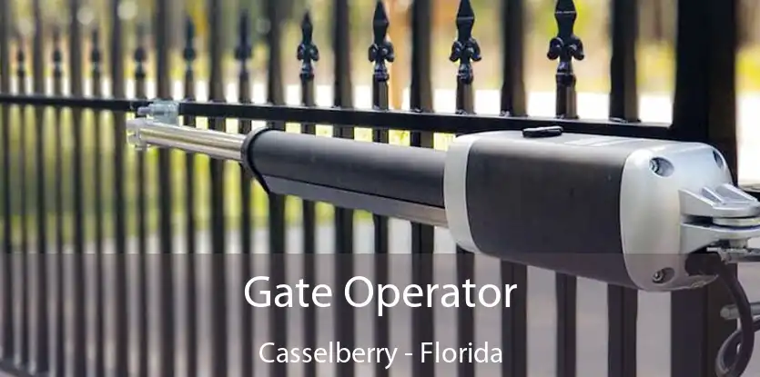 Gate Operator Casselberry - Florida