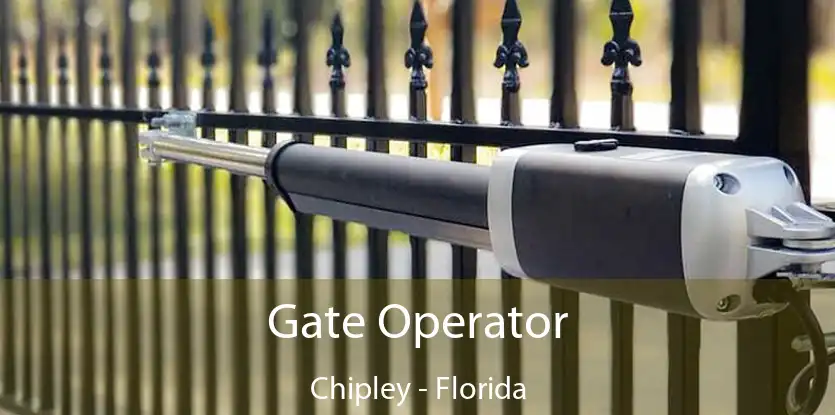 Gate Operator Chipley - Florida