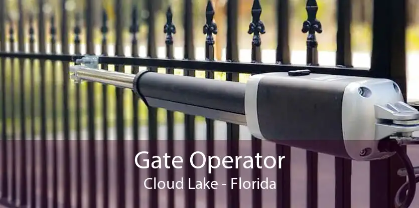 Gate Operator Cloud Lake - Florida