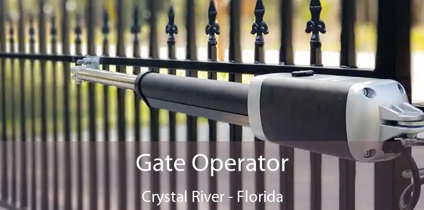 Gate Operator Crystal River - Florida