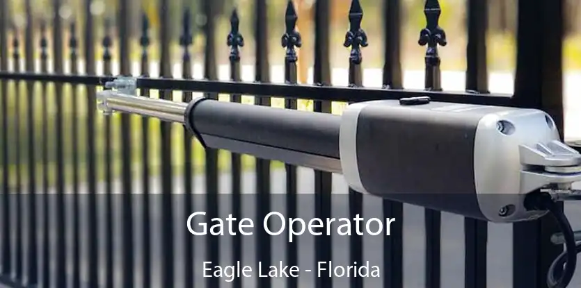 Gate Operator Eagle Lake - Florida