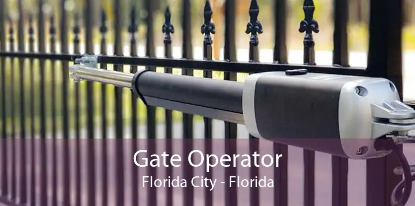 Gate Operator Florida City - Florida