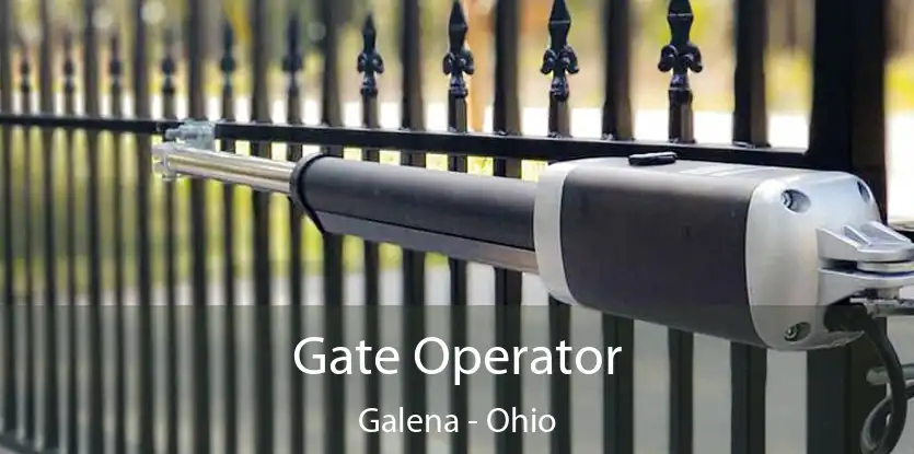 Gate Operator Galena - Ohio