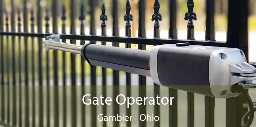 Gate Operator Gambier - Ohio