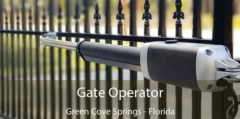 Gate Operator Green Cove Springs - Florida