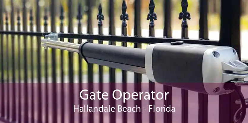 Gate Operator Hallandale Beach - Florida