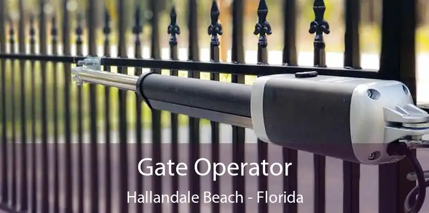 Gate Operator Hallandale Beach - Florida