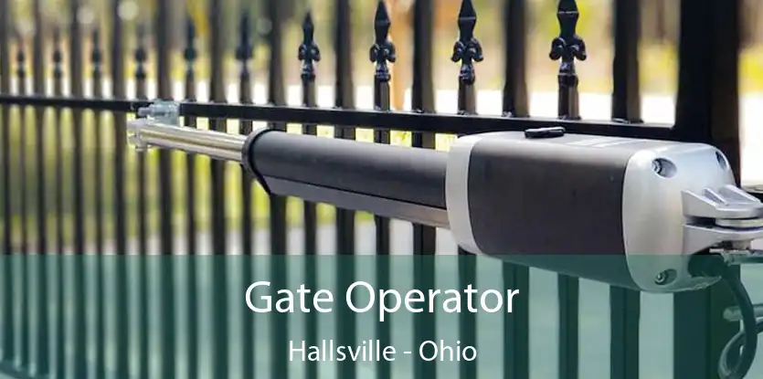 Gate Operator Hallsville - Ohio