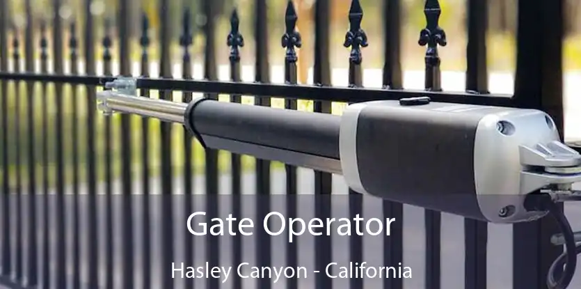 Gate Operator Hasley Canyon - California