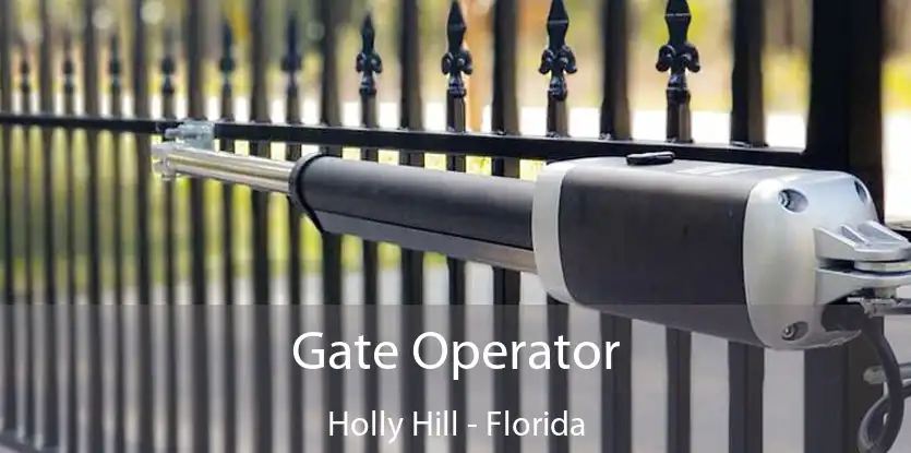 Gate Operator Holly Hill - Florida