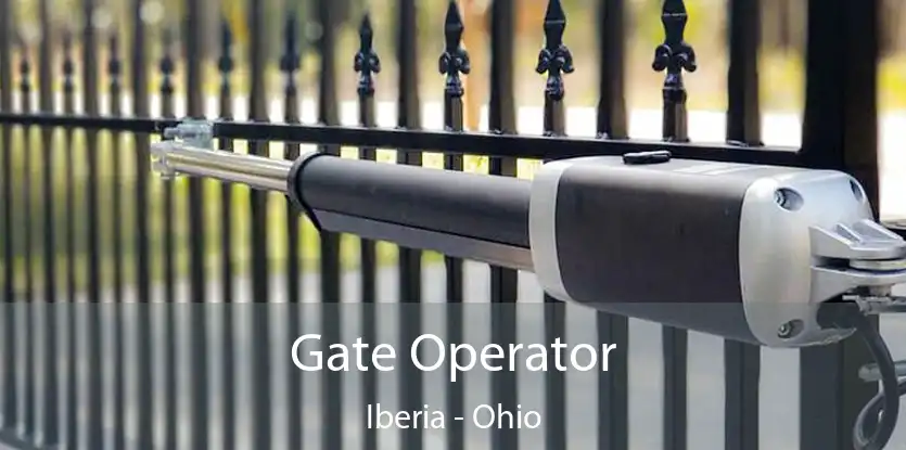 Gate Operator Iberia - Ohio