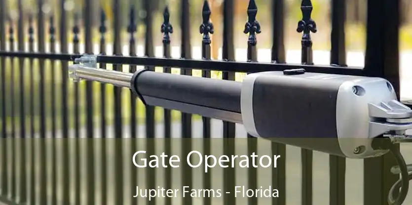 Gate Operator Jupiter Farms - Florida