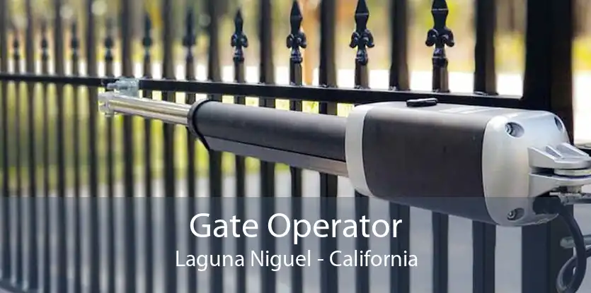 Gate Operator Laguna Niguel - California