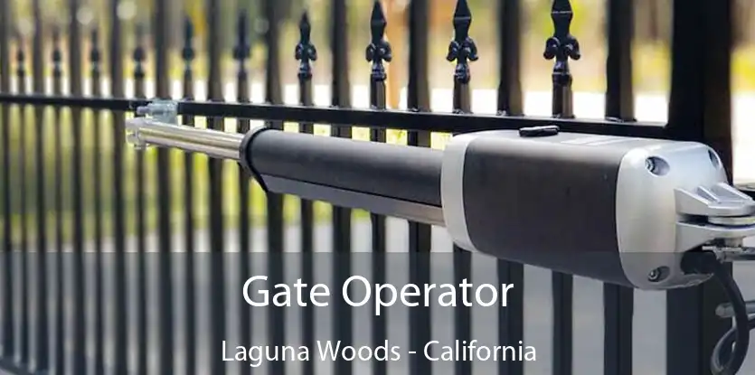 Gate Operator Laguna Woods - California