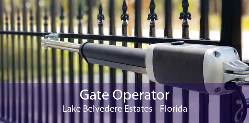 Gate Operator Lake Belvedere Estates - Florida