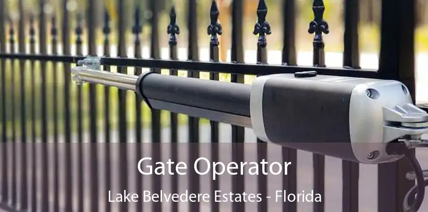 Gate Operator Lake Belvedere Estates - Florida