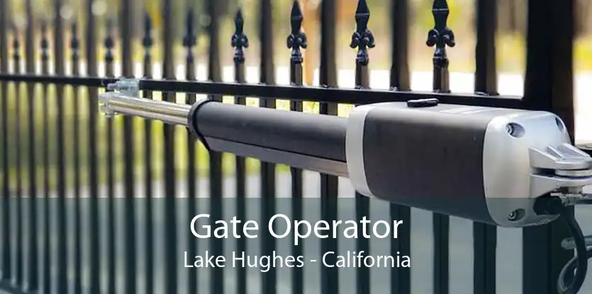 Gate Operator Lake Hughes - California