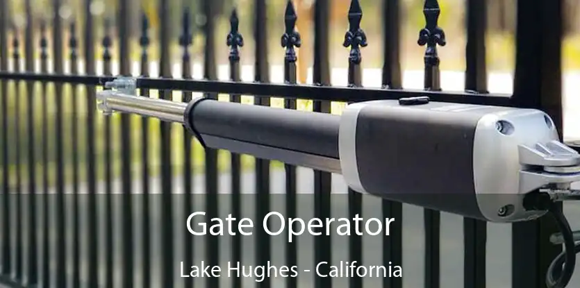 Gate Operator Lake Hughes - California