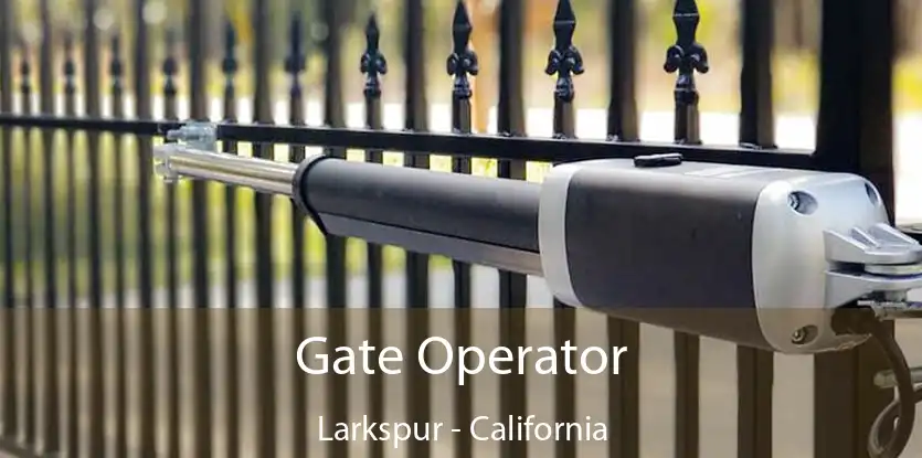 Gate Operator Larkspur - California