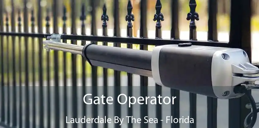 Gate Operator Lauderdale By The Sea - Florida