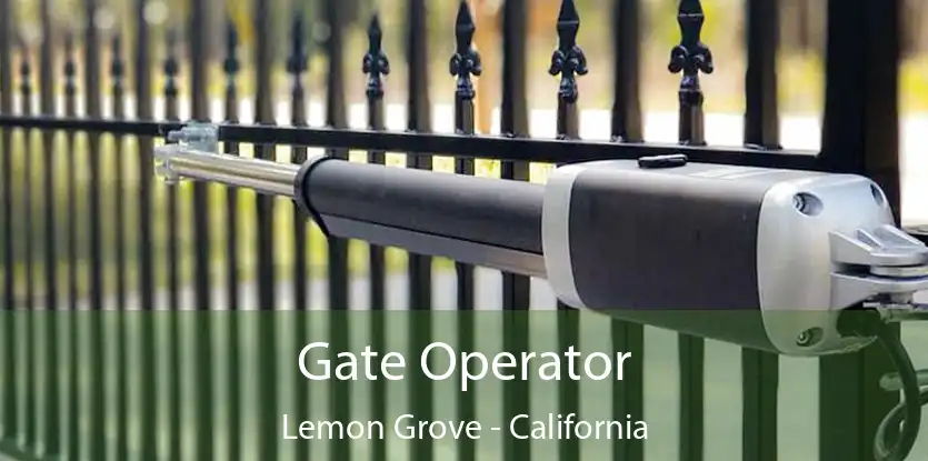 Gate Operator Lemon Grove - California