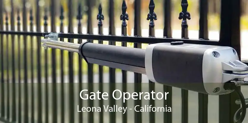 Gate Operator Leona Valley - California